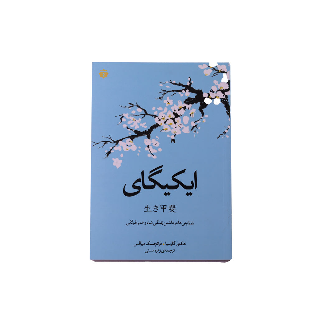 IMG_1027 ایکی گای - تصویر 1